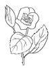 disegni da colorare fiori 22