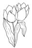 disegni da colorare fiori 25