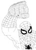 disegni da colorare spiderman 11