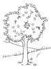 Disegni da colorare stagioni 2