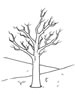 Disegni da colorare stagioni 5