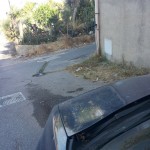 perdite acqua saracinello