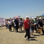 fedeli mammola da papa francesco