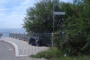 03 ottobre 2015 DSC01705