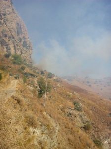 incendio Pentedattilo2