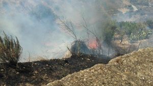 incendio pentedattilo