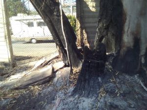 incendio ex liquichimica