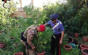 Rivenuta piantagione di canapa indiana a Montebello Jonico