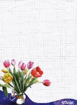 diddl carta da lettere 14