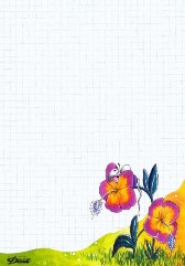 diddl carta da lettere 49