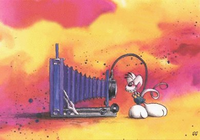 cartoline vuote diddl img grande n° 13