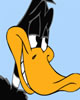 daffy