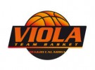 team-basket-viola