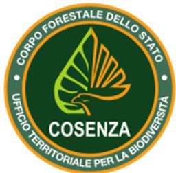 CFS Cosenza