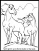 disegni da colorare spirit cavallo selvaggio 1