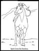 disegni da colorare spirit cavallo selvaggio 14