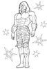 disegni da colorare ultimate muscle 10