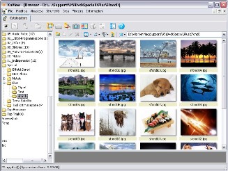 Xn View Full 1.90.3 