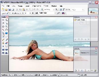Paint Net 3.01 