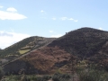incendio-vallata-pentedattilo (1)