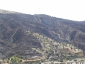 incendio-vallata-pentedattilo (8)