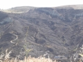 incendio-vallata-pentedattilo (9)