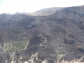 incendio-vallata-pentedattilo