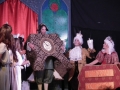 musical-la-bella-e-la-bestia (58)