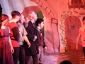 musical-la-bella-e-la-bestia (85)
