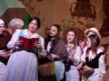 musical-la-bella-e-la-bestia (9)
