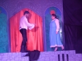 musical-la-bella-e-la-bestia (94)