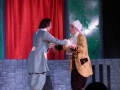 musical-la-bella-e-la-bestia (96)