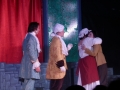 musical-la-bella-e-la-bestia (98)