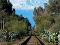 paesaggi-nicola-santucci (4)