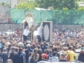 foto-processione-maria-ss-porto-salvo (14)