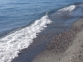 melito-porto-salvo (4)