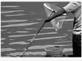 immagine-1