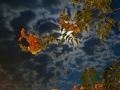 immagine-4
