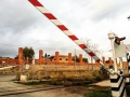 foto-lina-m-fazzari (16)