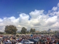 foto-lina-m-fazzari (3)