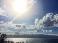 foto-lina-m-fazzari (5)