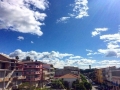 foto-lina-m-fazzari (6)