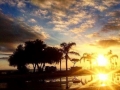 immagine-2