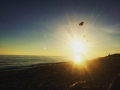immagine-6