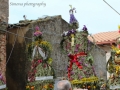 domenica-palme-bova (5)