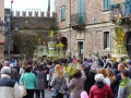 domenica-palme-bova (7)