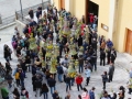 domenica-palme-bova (8)