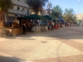 brancaleone-2-fiera-san-pietro-12