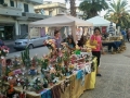 brancaleone-2-fiera-san-pietro-17