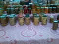 brancaleone-2-fiera-san-pietro-29